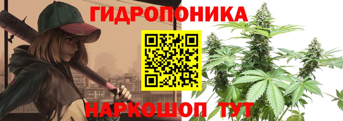 Костомукша  Бошки Шишки план  Вход с VPN  Каннабис SATIVA & INDICA 